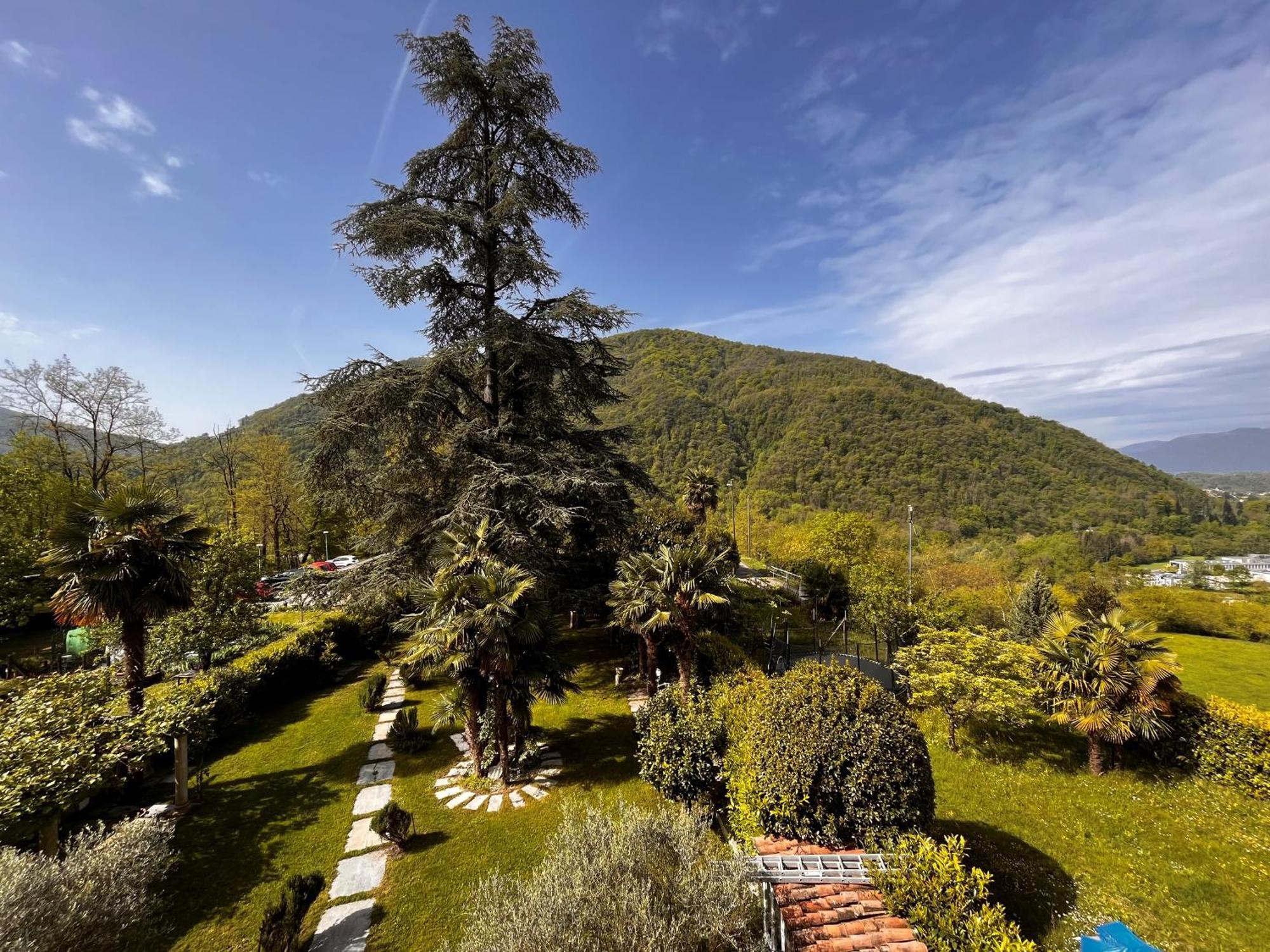Romantico Palazzo Dei Ulivi Purasca Екстер'єр фото